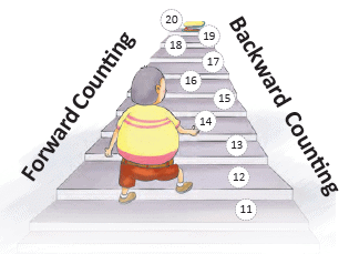 Numbers Class 1 Notes Maths Chapter 11