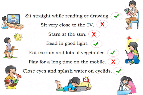 Seeing without Seeing NCERT Solutions | English for Class 2 (Mridang)