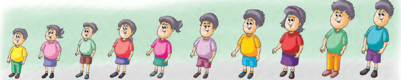 Lina`s Family (Measurement) Class 1 Notes Maths