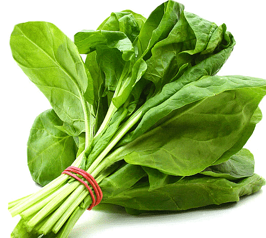 Food from Plants - 2 Class 1 Worksheet Science