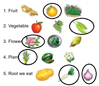 Food from Plants - 1 Class 1 Worksheet Science