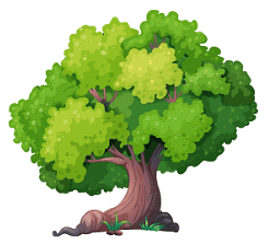 Practice Questions: Nouns | English Olympiad Class 1