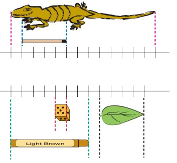 NCERT Solutions for Class 3 Maths - Long And Short