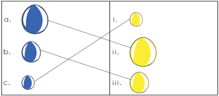 Worksheet Solutions: Patterns | Aptitude Reasoning - Class 2