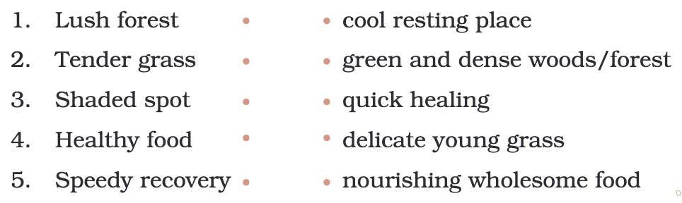NCERT Solutions for Class 4 English Chapter 5 - The Old Stag
