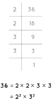 Unit Test (Solutions): Animal Jumps | Mathematics (Maths Mela) Class 5 - New NCERT