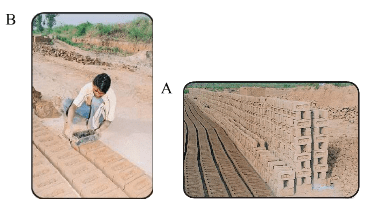 NCERT Solutions for Class 4 Maths - Chapter 1 - Building With Bricks