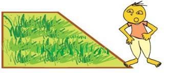 NCERT Solutions for Class 4 Maths - Chapter 13 - Fields And Fences
