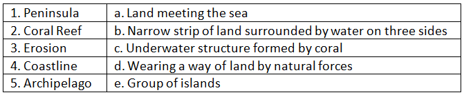 The Coastal Plains and Islands - 2 Class 4 Worksheet SST