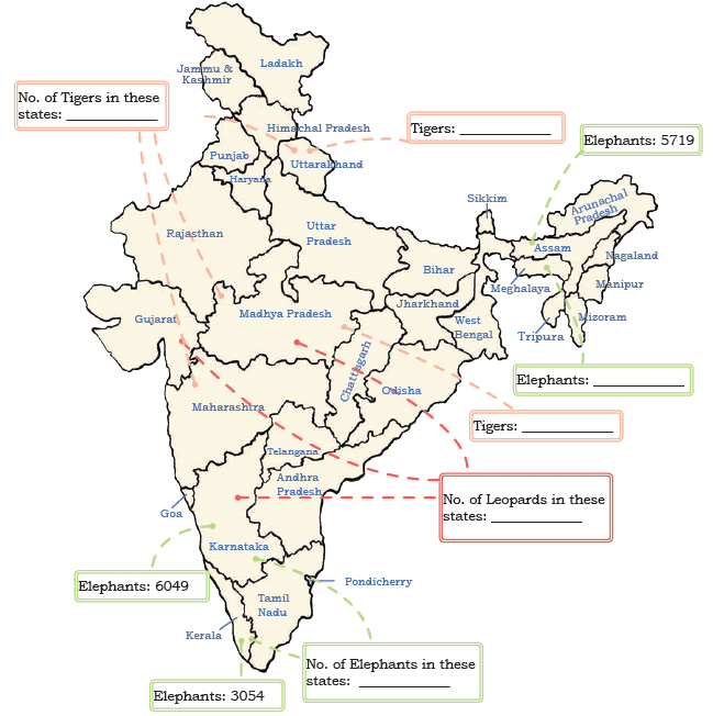 NCERT Solutions for Class 4 Maths Chapter 10 - Elephants, Tigers, and Leopards