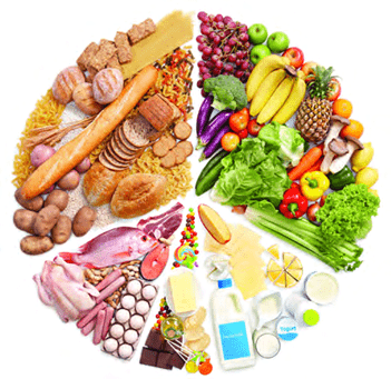 Food - Our Basic Need Class 4 Notes Science