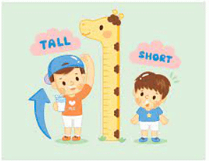 Worksheet Solutions: Long and Short - 2 | Mathematics for Class 4: NCERT