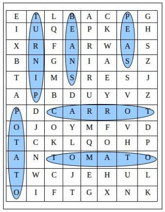 NCERT Solutions for Class 3 English Unit 3 - The Enormous Turnip