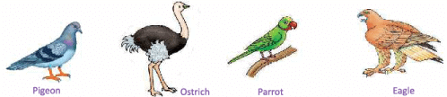 Animals Around Us Class 1 Notes EVS