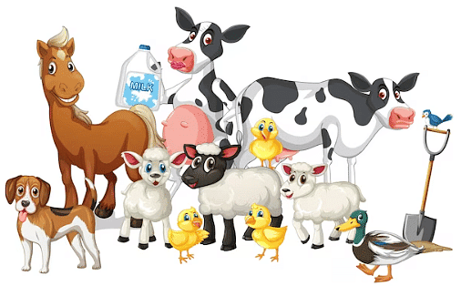 Domestic Animals - 1 Class 2 Worksheet Science
