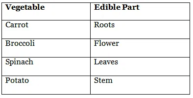 Worksheet Solutions: Fun with Pictures | Worksheets with solutions for Class 1