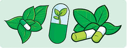 Q1: Multiple Choice Questions (MCQs).