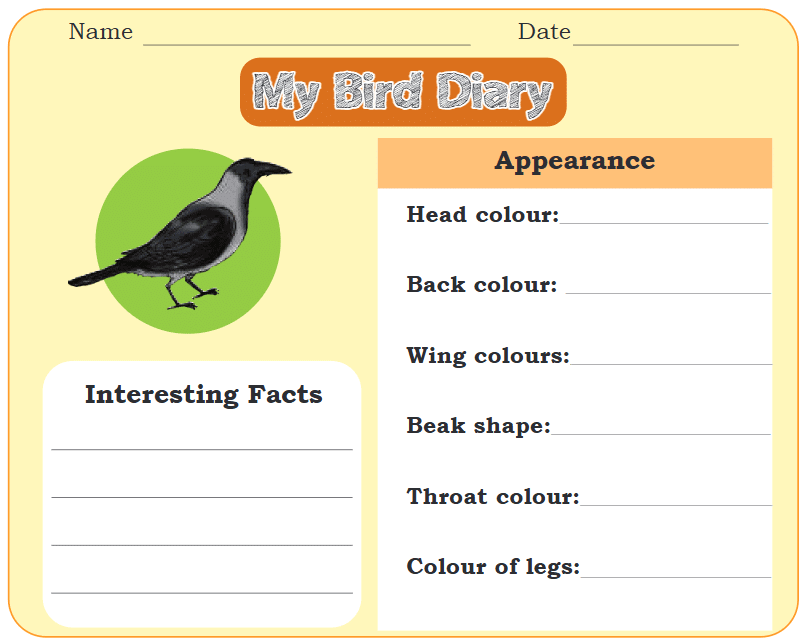 NCERT Solutions for Class 4 EVS Chapter 3 - Nature Trail