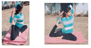 NCERT Solutions for Class 4 Maths - Chapter 5 - The Way The World Looks