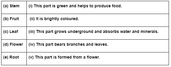 Class 3 Science - Parts of a Plant - CBSE Worksheets Solutions