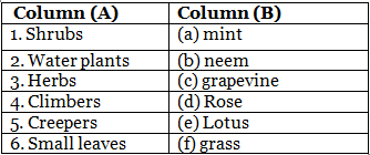 Plants Around Us - 2 Class 1 Worksheet Science