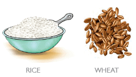 Common Cereals