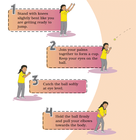 Throwing and Catching Class 4 Notes Physical Education Chapter 1 Free PDF
