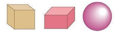 Worksheet Solutions: Shapes Around Us (3D Shapes) | Worksheets with solutions for Class 2