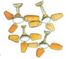 NCERT Solutions for Class 3 Maths - How Many Times