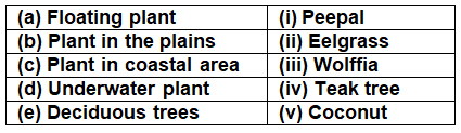 Class 4 Science - Adaptations in Plants - CBSE Worksheets - 1