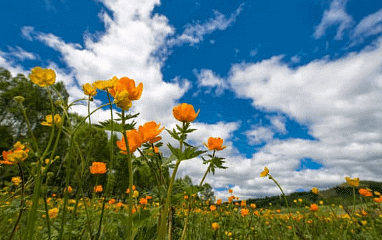 Which Season is it? Chapter Notes | Mathematics for Class 2 (Joyful-Mathematics)