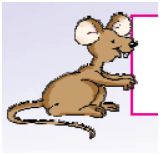 Worksheet: One Little Kitten/Lalu and Peelu - 4