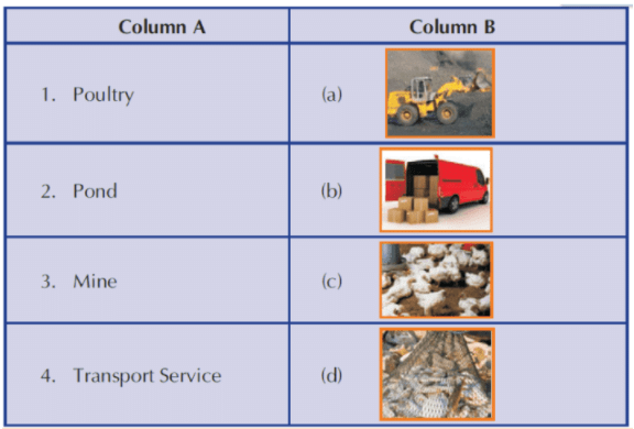 Occupation - 1 Class 3 Worksheet SST