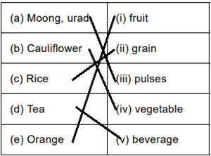 Food from Plants - 1 Class 1 Worksheet Science