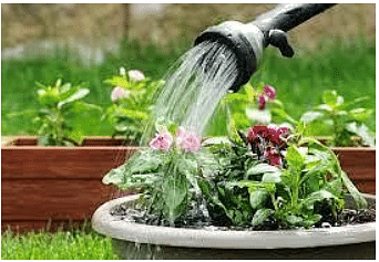 A Watering Rhyme Class 4 Worksheet English