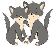 Practice Questions: Animals - Their Babies, Sounds and Groups | English Olympiad Class 1
