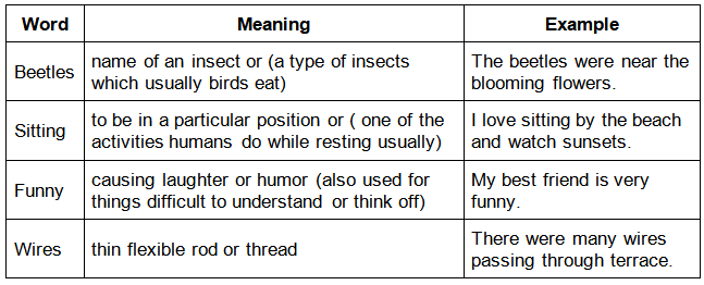 Bird Talk Summary Class 3 English Unit 2