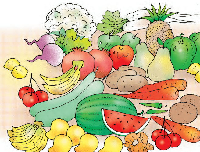 Fruits and Vegetables