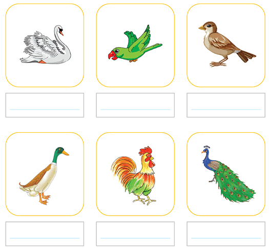 The Crow NCERT Solutions | English for Class 2 (Mridang)