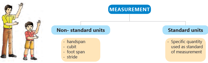 Understanding Measurement Units