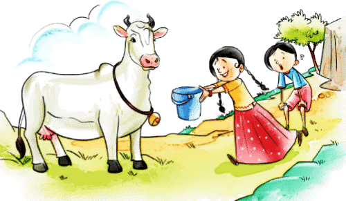 Worksheet: बरसात और मेंढक | Worksheets with solutions for Class 2