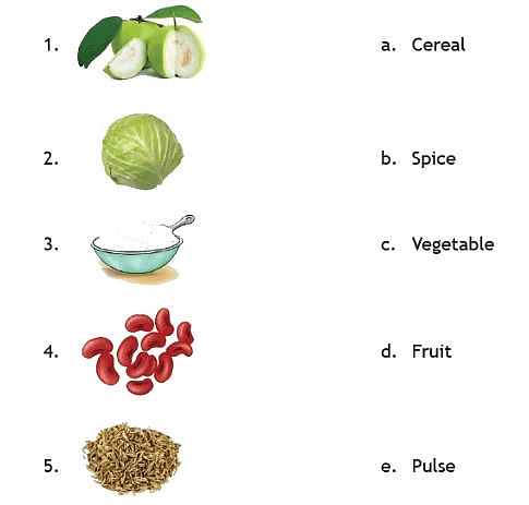 Uses of Plants - 1 Class 2 Worksheet Science
