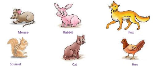 Animals Around Us Class 1 Notes EVS