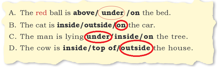 Finding the Furry Cat! NCERT Solutions | Mathematics for Class 1: NCERT (Joyful-Mathematics)