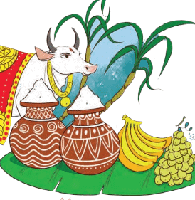 Short Answer Questions: We are all Indians