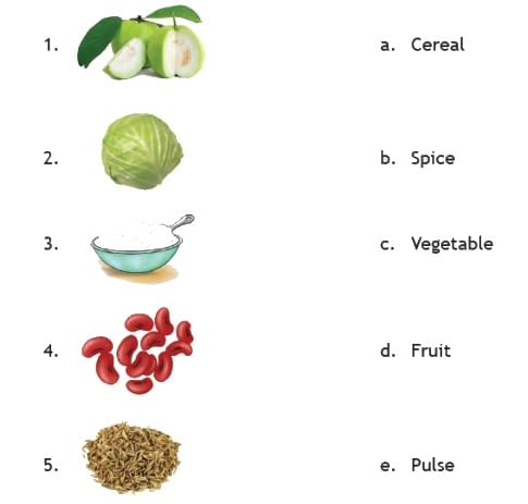 Uses of Plants - 1 Class 2 Worksheet Science