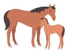 Practice Questions: Animals - Their Babies, Sounds and Groups | English Olympiad Class 1