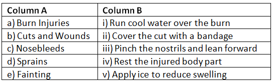 Safety and First Aid - 2 Class 4 Worksheet Science
