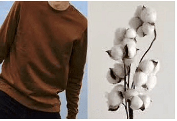 Class 4 Science - Clothes Our Protection - CBSE Worksheets Solutions - 1