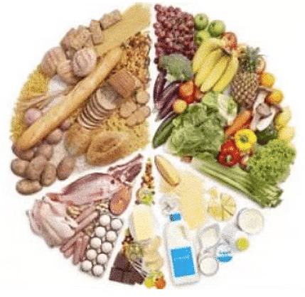 Food: Our Basic Need - 2 Class 6 Worksheet Science
